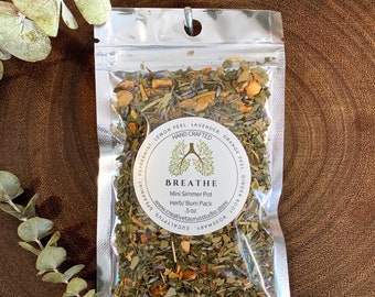 Breathe Simmer Pot Blend | Clearing Herbal Home Fragrance | Minty Seasonal Comfort Ritual