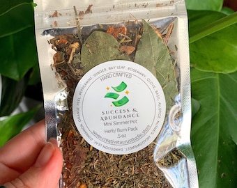 Success & Abundance Simmer Pot Blend, Money Drawing Herbs, Business Prosperity, Wealth Ritual, Minty Spice