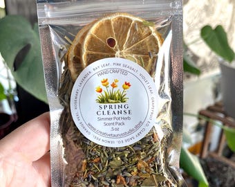 Spring Cleanse Simmer Pot Blend | Lemon Orange Rosemary Lavender | Energy Cleanse & Refresh