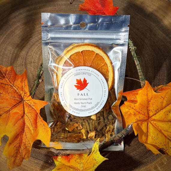 Fall Simmer Pot Blend, Cozy Autumn Ritual Inspired, Orange Spice Home Fragrance