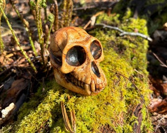 Replica Monkey Skull