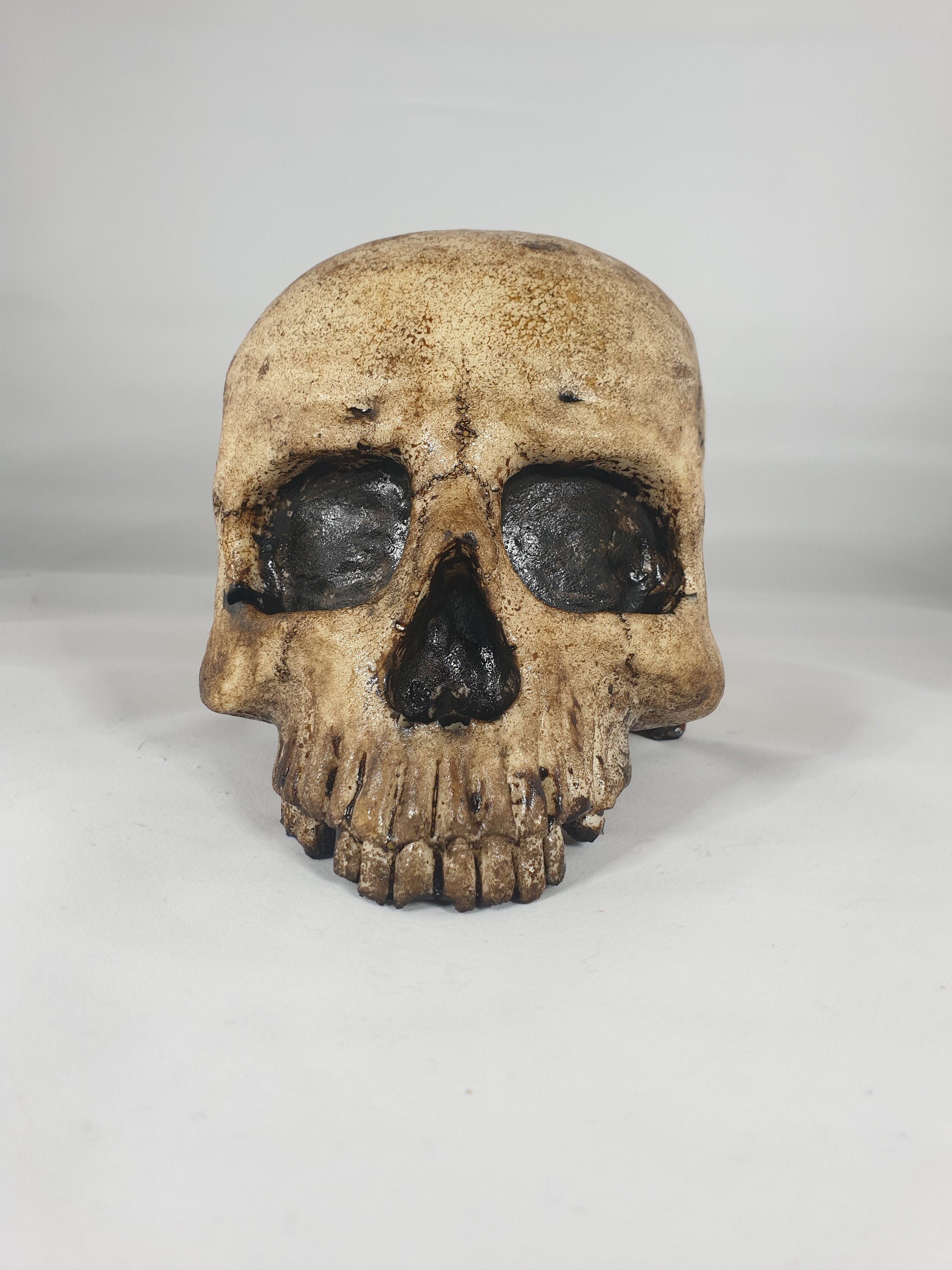 Human Skull Replica Victorian Era Gothic | Etsy UK