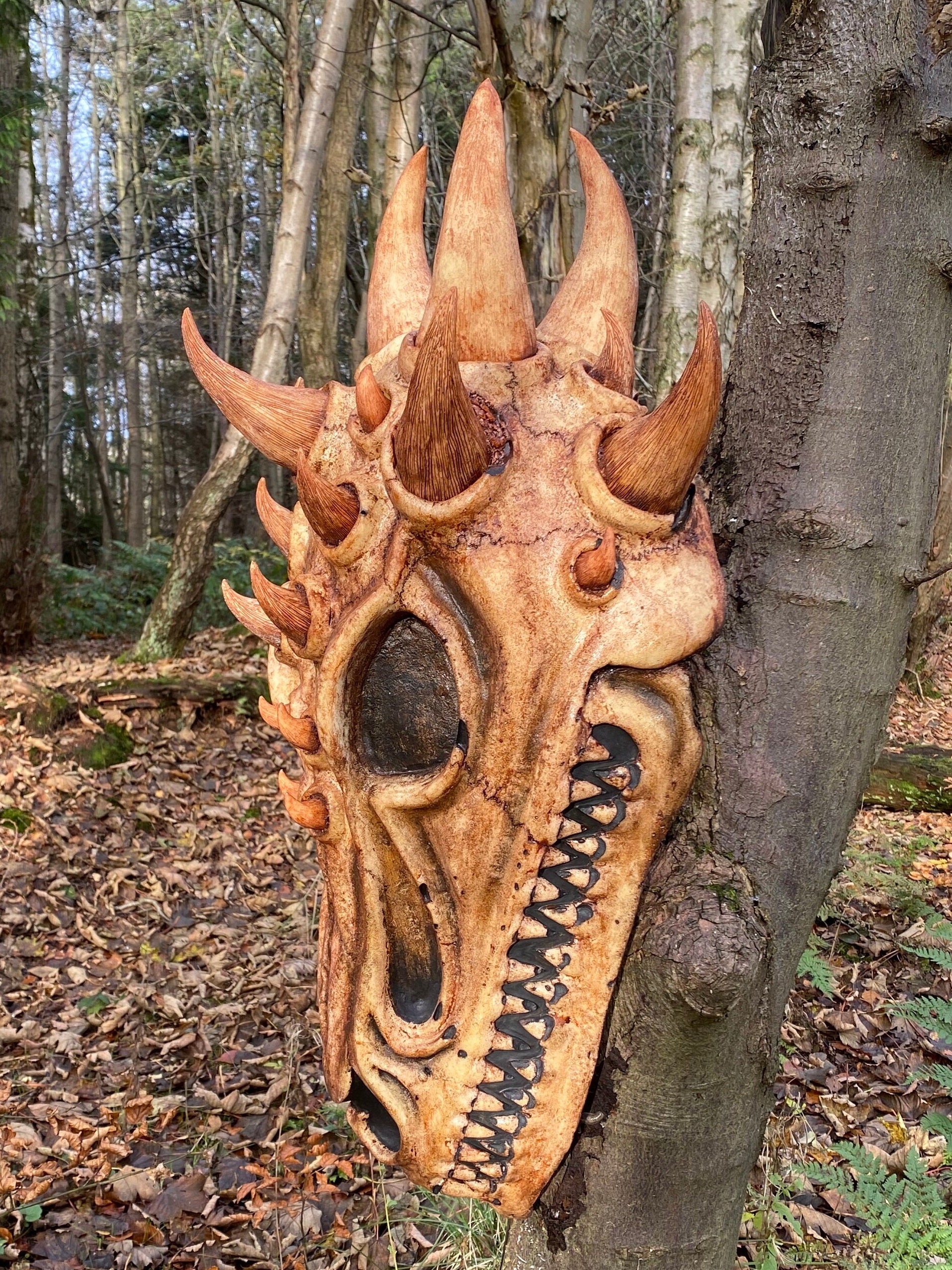 Dragon Skull - Extra Large, Wall Mountable, Dungeons and Dragons