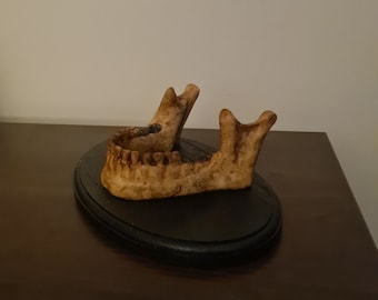 Jawbone phone stand - horror gift - iPhone stand - cellphone stand -  desk tidy - display - smartphone desk decor - buisness card holder