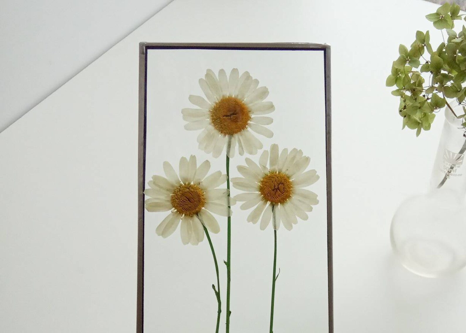 Stained glass art frame with pressed daisies Frame with Etsy