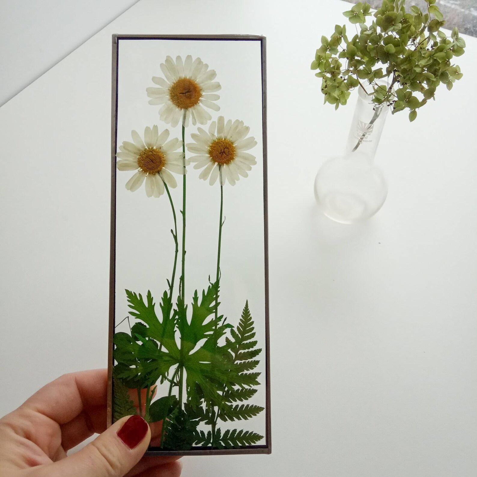 Stained glass art frame with pressed daisies Frame with Etsy