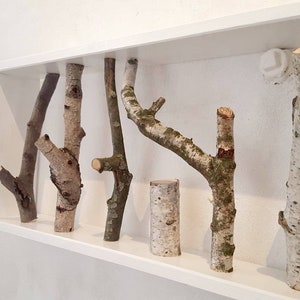 Wardrobe, branch, wood, coat hook, decoration, branch wardrobe, jacket rack,