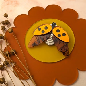 3 Colours PRE ORDER Ladybird Pendant, red ladybug, insect, beetle, laser cut, gift Orange Mirror