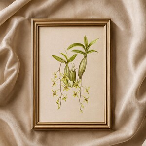 May include: A rectangular gold-toned frame containing a botanical illustration of an orchid plant. The artwork features green leaves and stems with small, delicate yellow flowers hanging downwards against a light beige background.