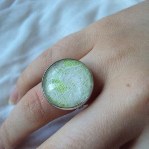ring round glass cabochon white lace on light gree image 4