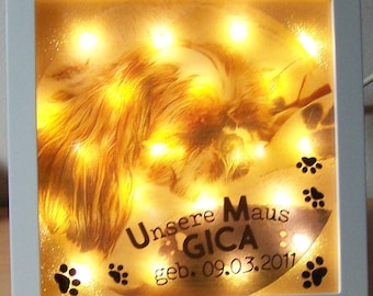 Bilderrahmen beleuchtet, Leuchtrahmen Lieblingstier Haustier Hund Katze Pferd personalisiert