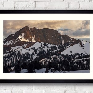 MT DILLER - Framed