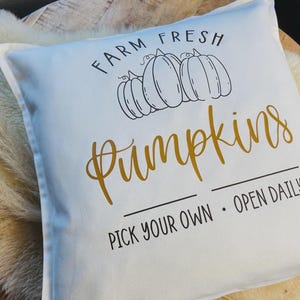 Op de afbeelding: Wit vierkant kussen met de woorden "FARM FRESH Pumpkins" in zwarte en gouden letters. Het kussen heeft een lijntekening van drie pompoenen en de tekst "PICK YOUR OWN • OPEN DAILY".
