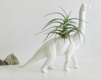 Dino Planter in White / Air Plant Holder / White Planter / Dinosaur / Holiday gifts / secret santa Gift / birthday Gift / housewarming decor