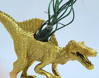 Gold Spinosaurus with air plant / Dino Planter with Air Plant (Tilly) Lovely Dino! Holiday gifts / Dino / secret Santa / holiday decor