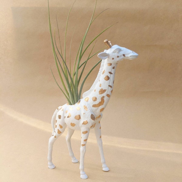 Blanco con acentos dorados jirafa Planter w / Air Plant, Plantadores interiores, Amor, decoración de color blanco y oro, Regalos, regalos de cumpleaños, decoración del hogar