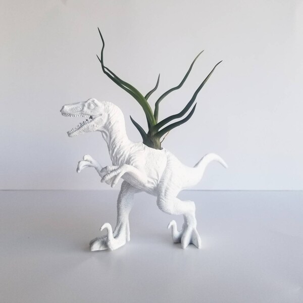 Dino Planter in White with Air Plant (Tilly), Dinosaur Planter, kids unique gifts, home decor, secret santa gifts, love gifts, holiday gift,