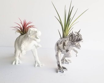 Best Friends / Dino Planter Set / Awesome Gifts / Holiday gifts