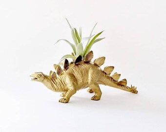 Dino Planter in Gold with Air Plant (Tilly) Holidays Gifts, secret Santa,  ready to ship, home decor, cute housewarming gifts, welcome baby