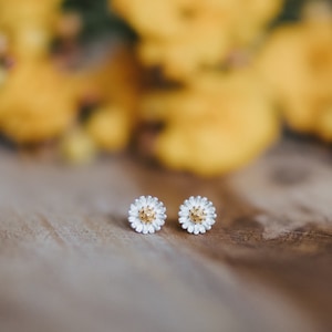 Stud earrings 925 silver daisy