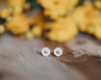 Stud earrings 925 silver daisy