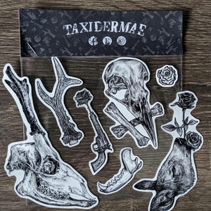 Könnte beinhalten: Eine Sammlung von schwarz-weißen Aufklebern mit detaillierten Illustrationen von Tierschädeln, Geweihen, einem Revolver und Rosen. Die Aufkleber sind mit einem schwarzen Header verpackt, auf dem "TAXIDERMAE" steht.