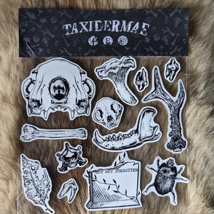 May include: A set of black and white stickers depicting various anatomical elements, including skulls, bones, and a beetle, alongside a tombstone with the inscription "BUT NOT FORGOTTEN". The stickers are packaged with a black header that reads "TAXIDERMAE".
