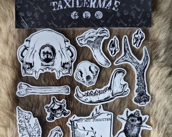Hoja de pegatinas de rarezas góticas, arte macabro, ilustraciones dibujadas a mano