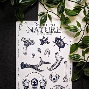 BACK TO NATURE, Original art sticker sheet Die-cut pack | Oddities & Curiosities | Scrapbook planner | Cat mushroom stickers | Gothic |