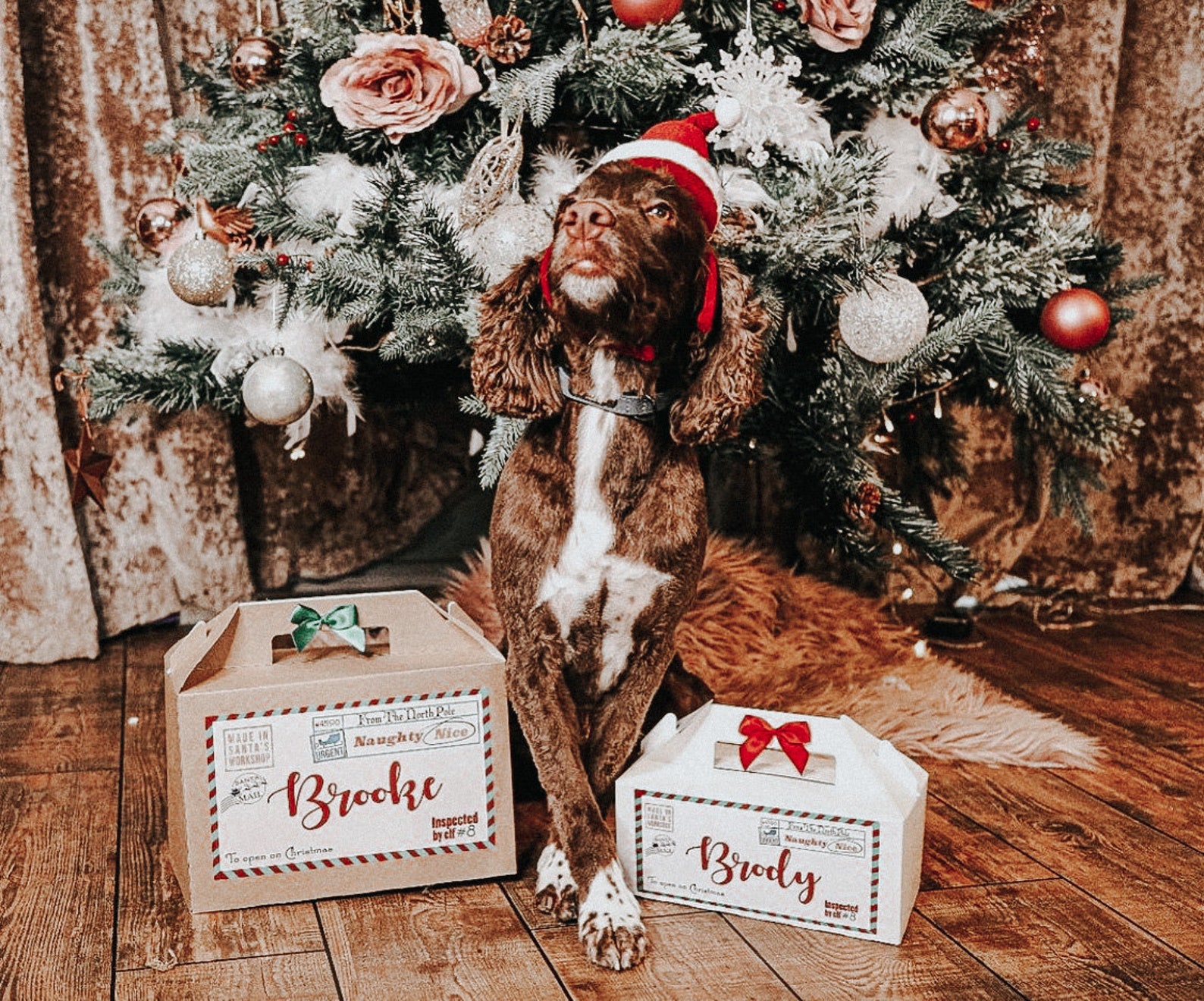 Pet Personalised Christmas Gift Box Dog Christmas Gift Box Etsy