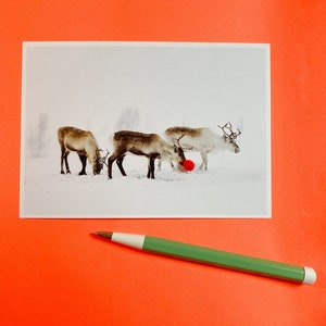 Postkarte "Rudolph", Weihnachtskarte mit Mini-Pompom, DIN A6