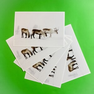 5er Pack Weihnachtskarten "Rudolph", DIN A6