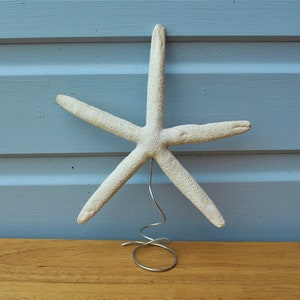 May include: White starfish Christmas tree topper with a wire stand. The starfish is a natural sea creature and has a rough texture.