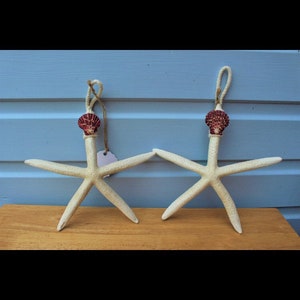 Natural Starfish Hanging: Coastal Decor with Seashell Accent and Nautical Rope