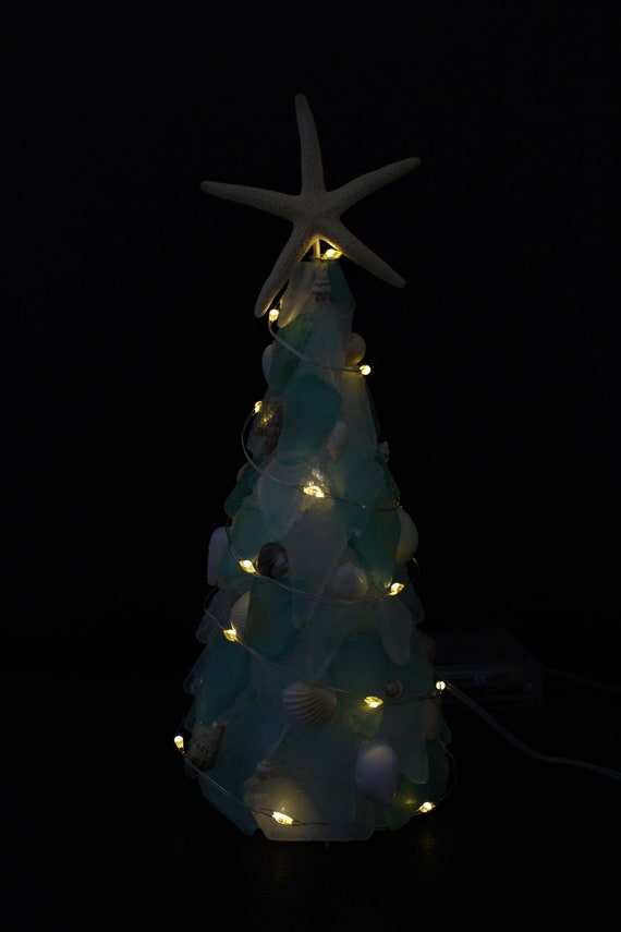 10 Stelle Marine Naturali Per Decorazioni - Mix Di Stelle Per Matrimoni, Casa E Fai Da Te - Foto 5