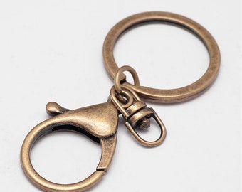 2 key rings with bronze carabiner