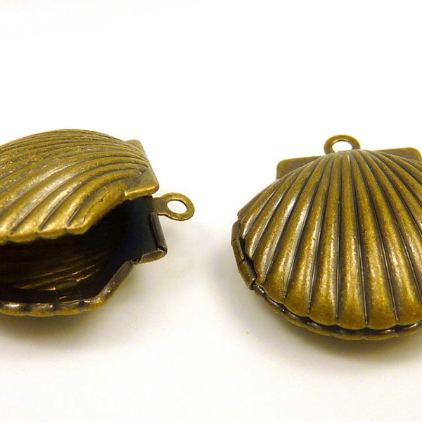 4 Maritime Medallions-Shell 24 x 22 mm-Bronze
