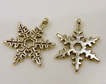 flocon de neige de 10 pendentifs - charmes - argenté 24 x 18 mm