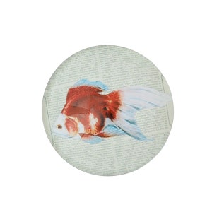 3 cabochon IN VETRO 20 mm - PESCE - pesce rosso