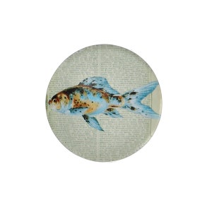 3 cabochon IN VETRO 20 mm - PESCE
