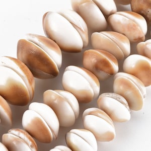 1 Strang halbrunde Muschelperlen - creme Natur - Muscheln, Perlen