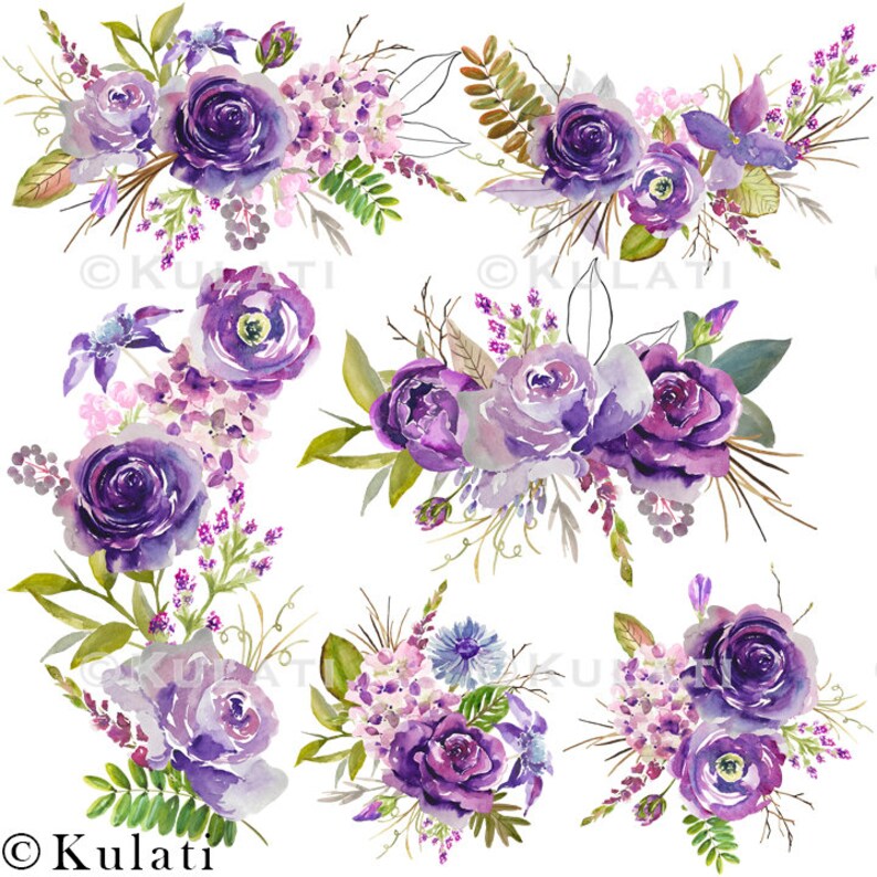 Hydrangea Flower Images Peony Pink Flowers Rose Floral Graphics Purple Floral Clipart Wedding Clipart Watercolor Floral Design Kit
