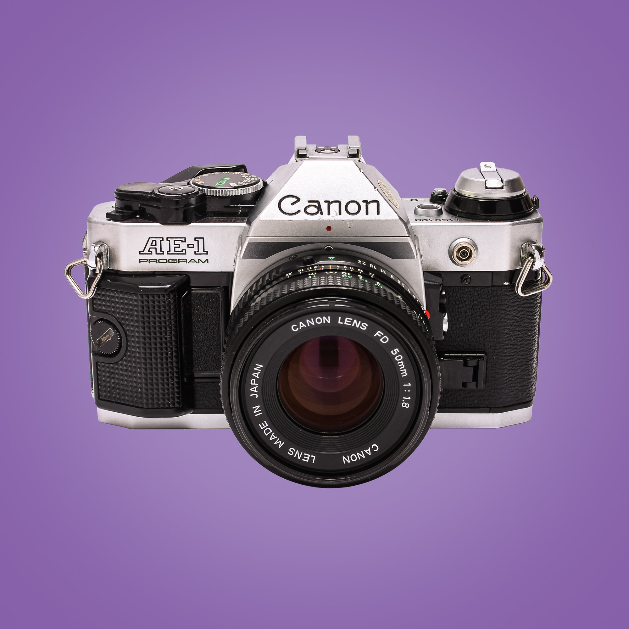 My Image 6