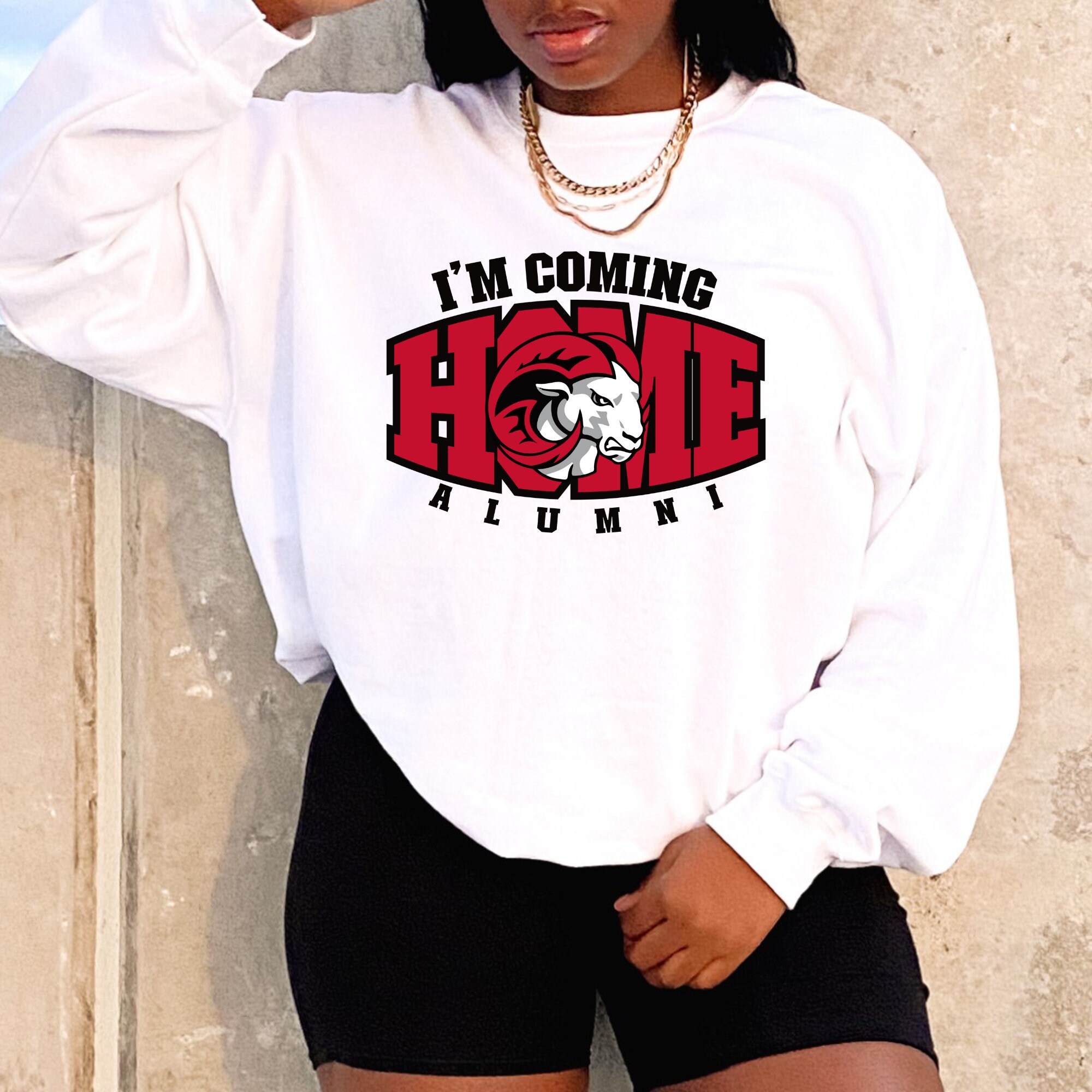 Hbcu Sweatshirt - Etsy