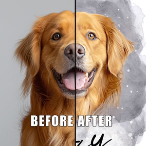 Może przedstawiać: Zdjęcie przed i po przedstawiające psa rasy golden retriever. Lewa strona zdjęcia pokazuje oryginalne zdjęcie psa. Prawa strona zdjęcia pokazuje zdjęcie psa z efektem akwareli.