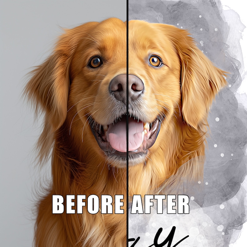 Może przedstawiać: Zdjęcie przed i po przedstawiające psa rasy golden retriever. Lewa strona zdjęcia pokazuje oryginalne zdjęcie psa. Prawa strona zdjęcia pokazuje zdjęcie psa z efektem akwareli.