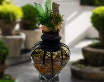 Earth & Spirit A Cleansing Ritual in Bloom Spell Jar