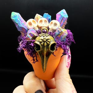 Könnte beinhalten: Ein orangefarbener Topf enthält drei kleine weiße Schädel, lila Moos und schillernde Kristalle. Ein bronzefarbener Vogelschädel-Anhänger mit floralem Design hängt davor.