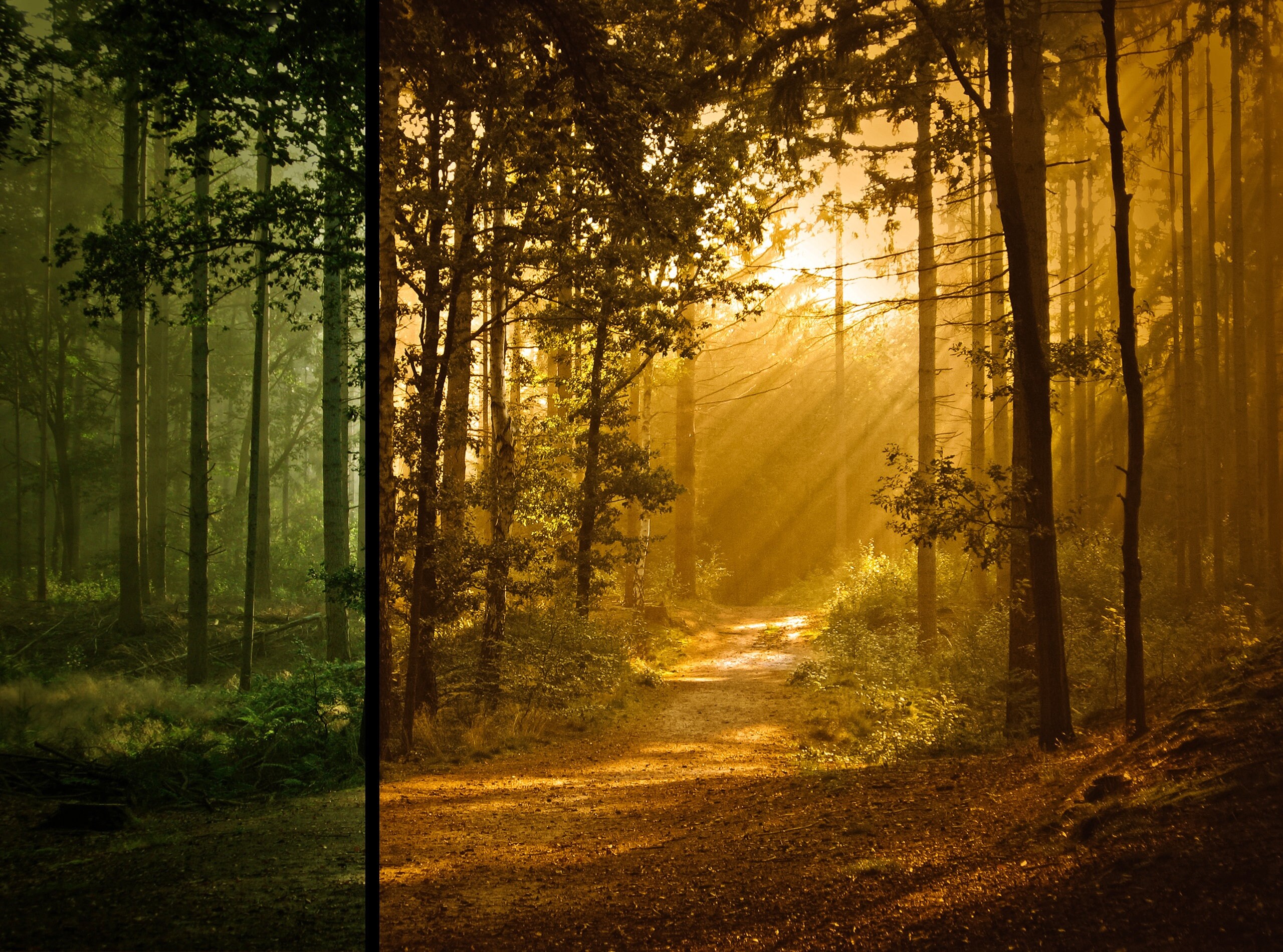 15 Summer Lightroom Presets Summer Presets Adobe Lightroom Etsy