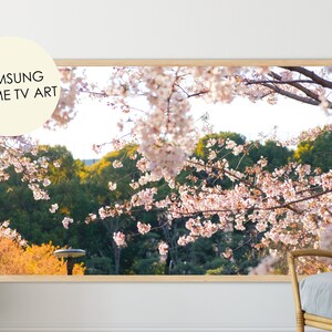 Peut inclure: Une photographie encadrée d'un cerisier en fleurs. Les branches sont chargées de délicates fleurs roses, et l'arrière-plan est un flou de verdure et d'un ciel bleu lumineux.